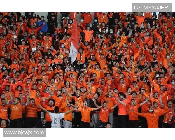 芬兰与乌克兰激战正酣6月12日精彩对决引发球迷热议