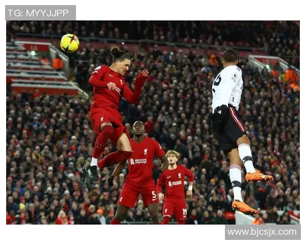 努涅斯在足球赛场上的崛起与挑战探讨